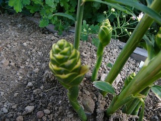 20191117-01.jpg