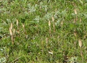 2020-03-02-001A.jpg